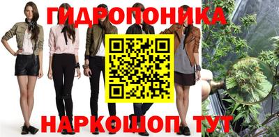 сатива Кулебаки